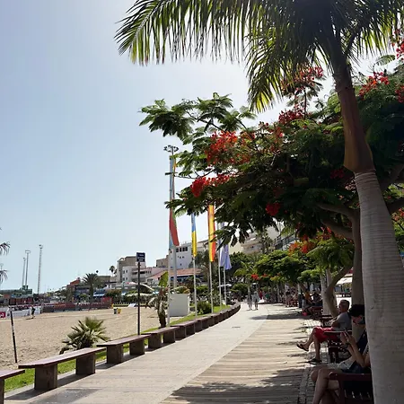 Cristianos Los Cristianos (Tenerife)
